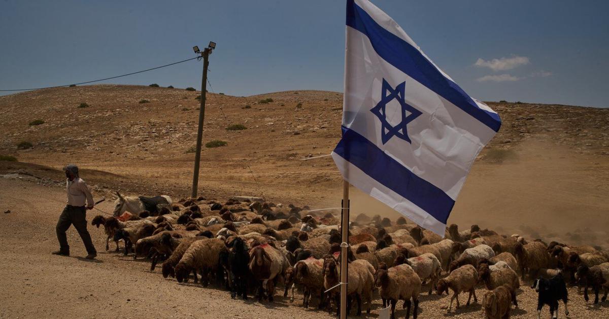 PHOTO ESSAY: Palestinian shepherds endure life alongside Israeli settler outposts