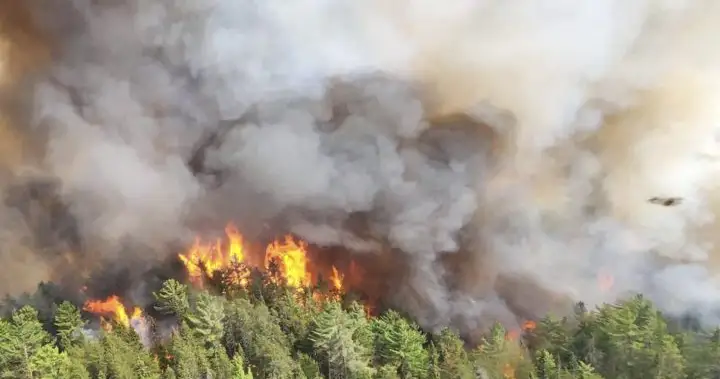 Ford government taps Canadian military for help with massive Ontario wildfires