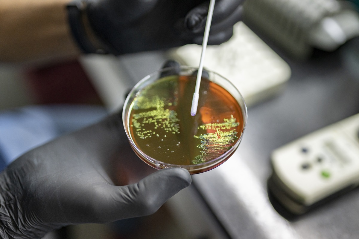 Antimicrobial resistance