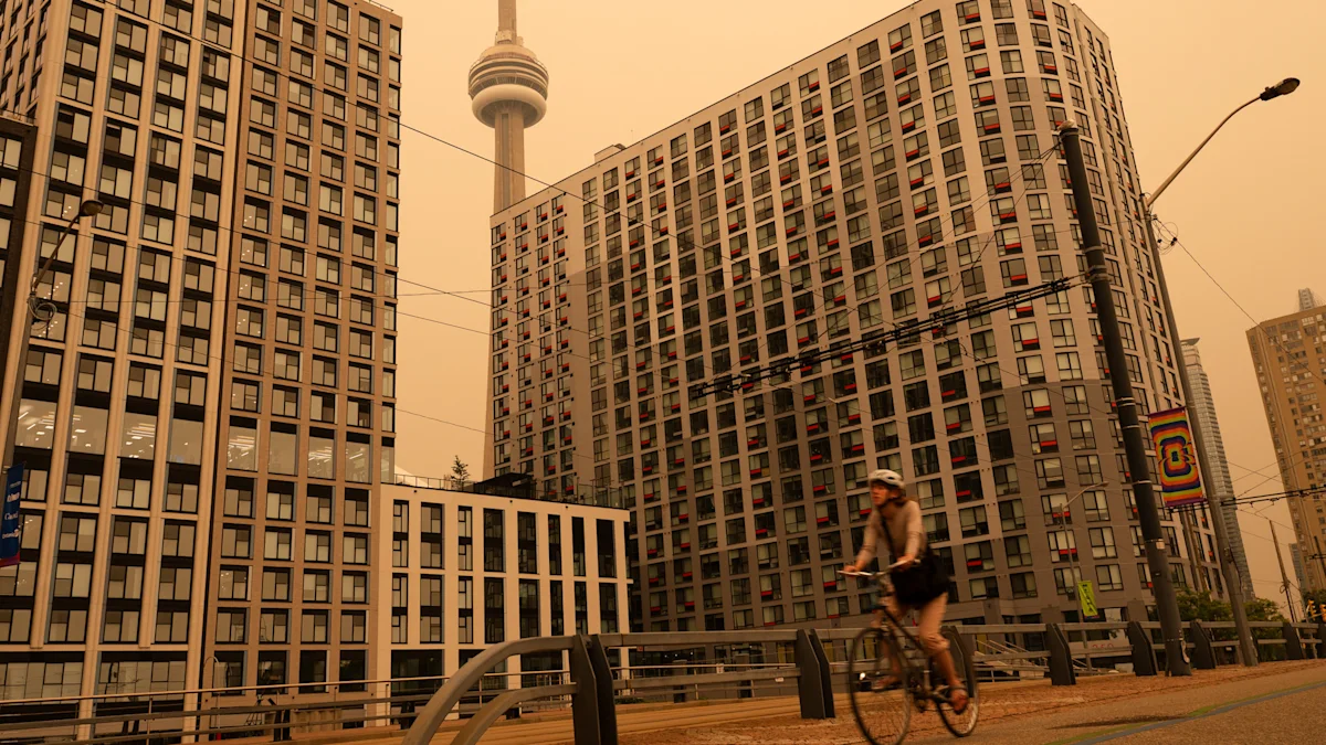 How wildfire smoke can affect your brain