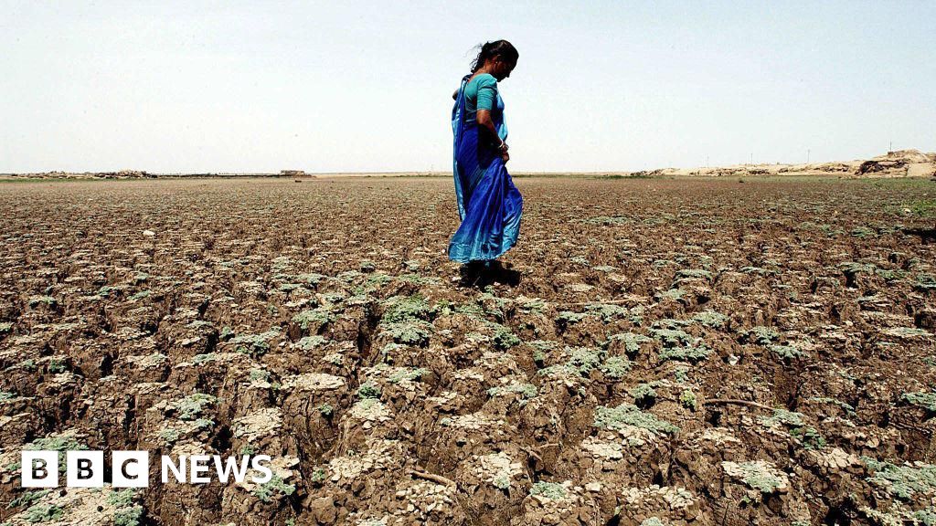 Farming worries after India records driest June in over a decade