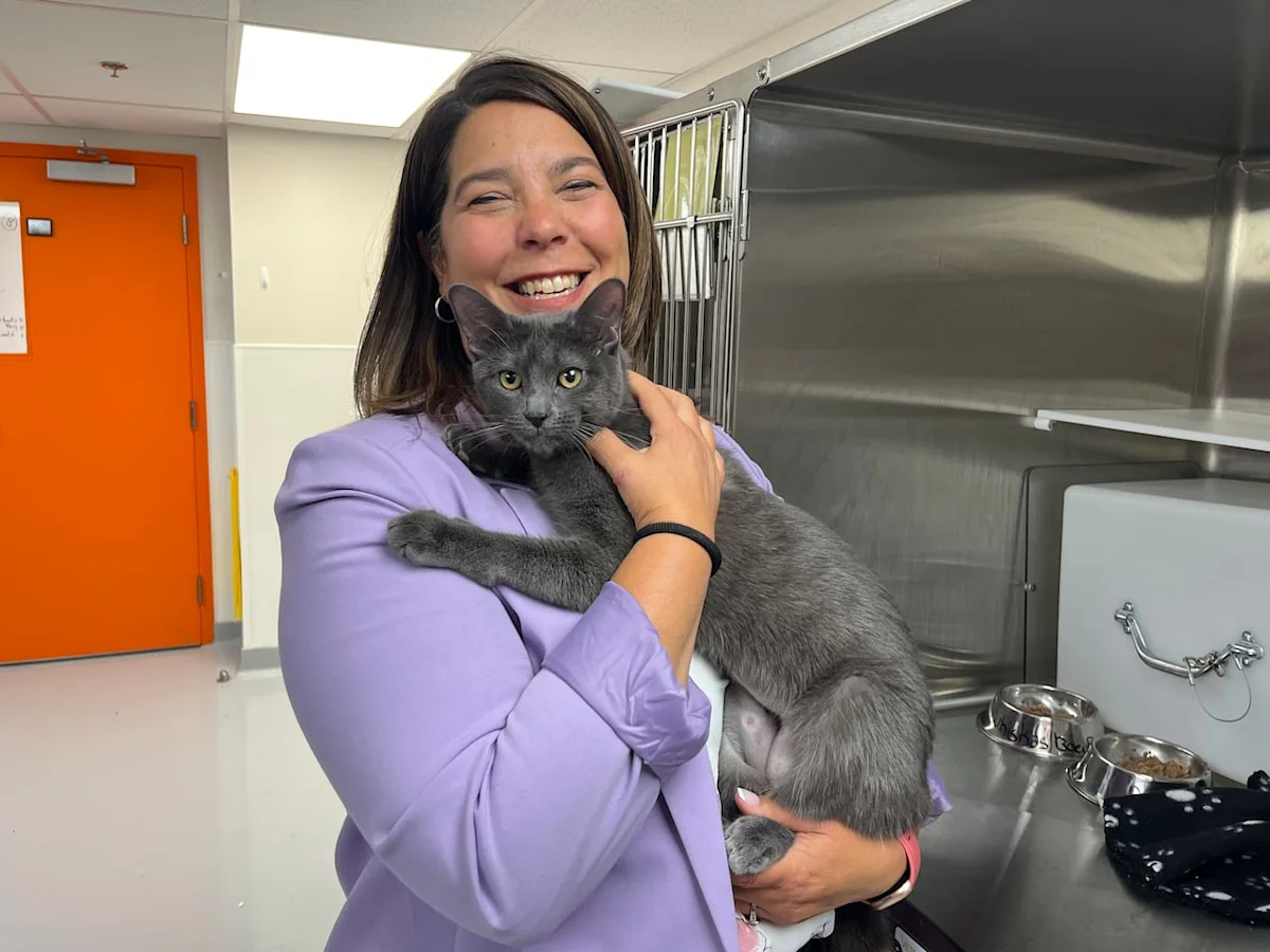 Why some Montreal animal shelters are waiving adoption fees