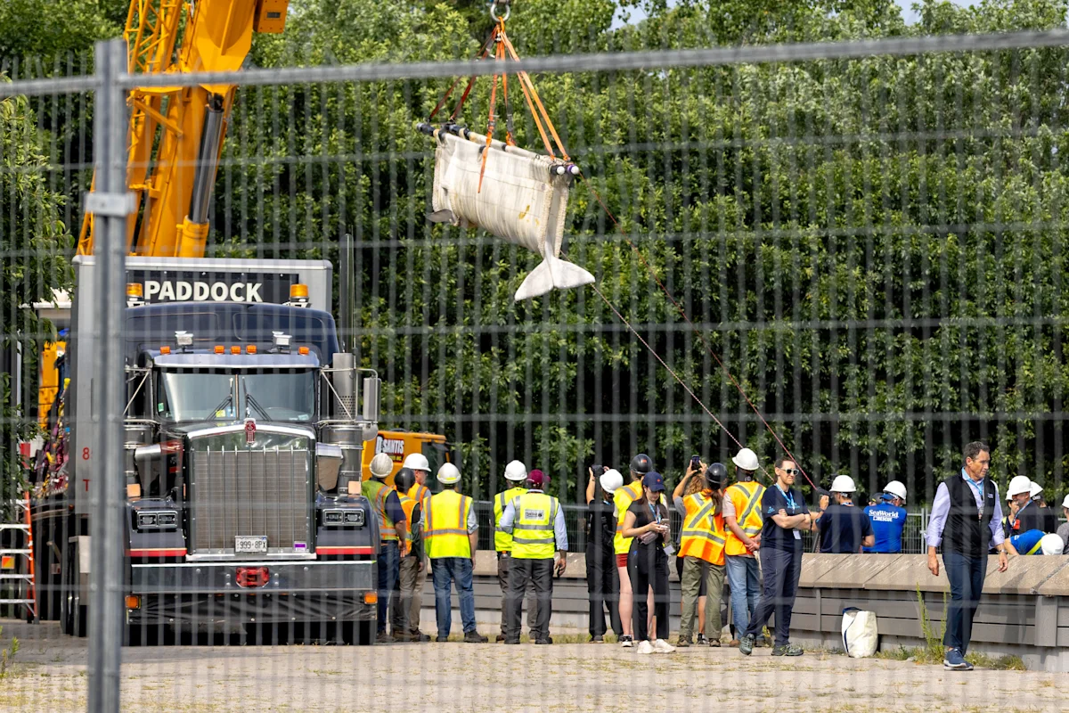 Marineland begins relocating its whales