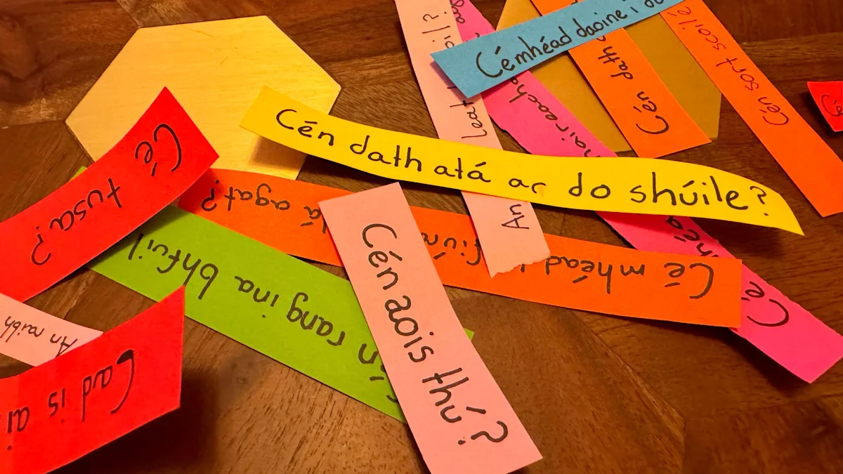 Millions for Irish language education spent on other schools