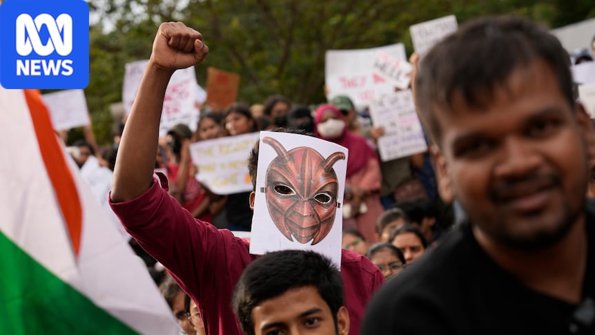 Why supporters of India's 'Cockroach' movement marched on parliament