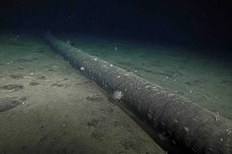 New Google Transatlantic Cable Connects Portugal with the US