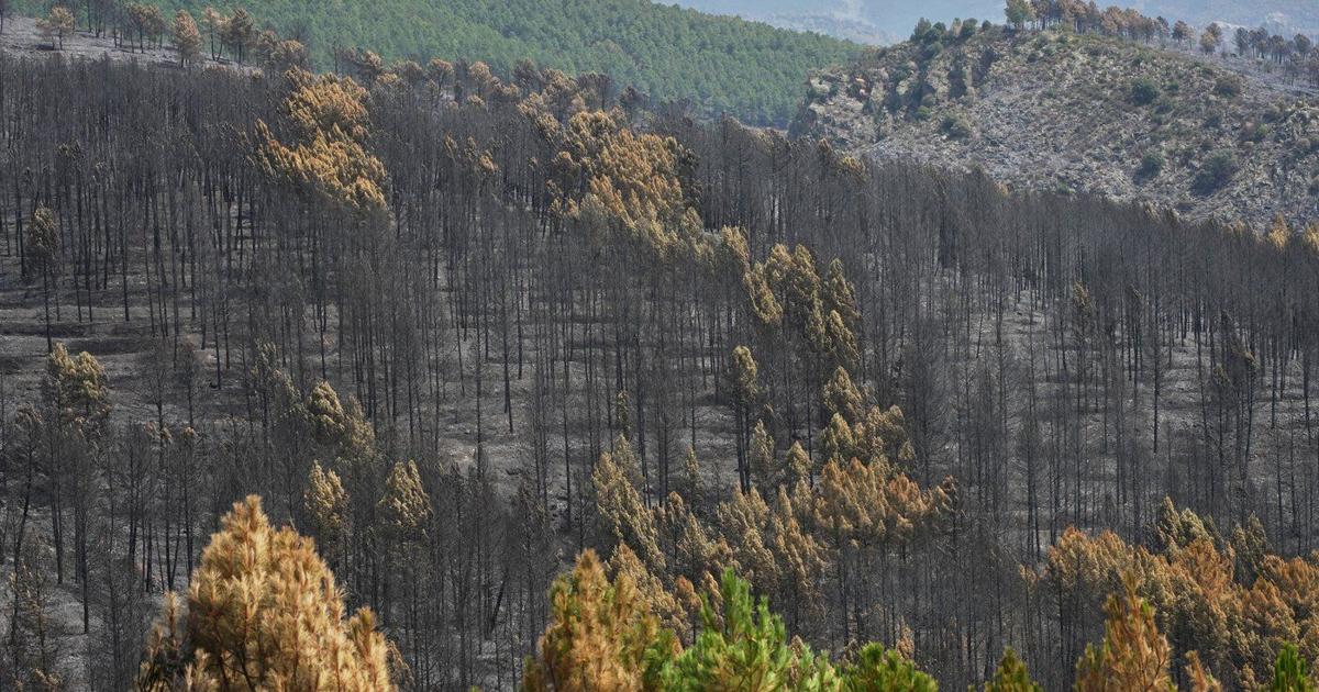 Firefighters in central Spain battle huge wildfire during heat wave