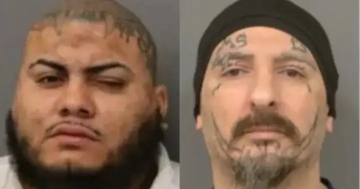 Peel police charge 2 alleged MS