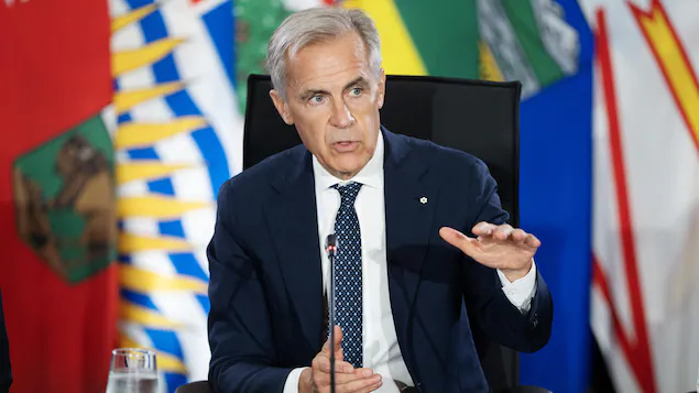 Canada ’will do whatever it takes’ to counter Trump’s tariff threat, Carney tells premiers