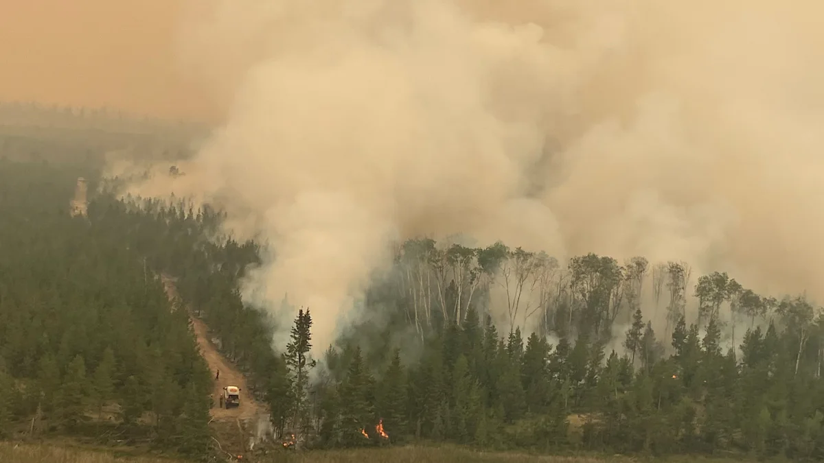 B.C. wildfires: Out-of