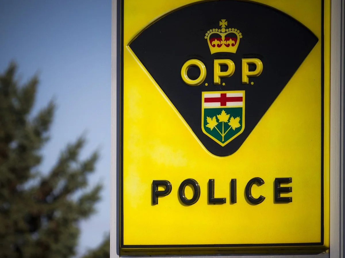 Ottawa man, 64, dies in truck crash at Kaladar