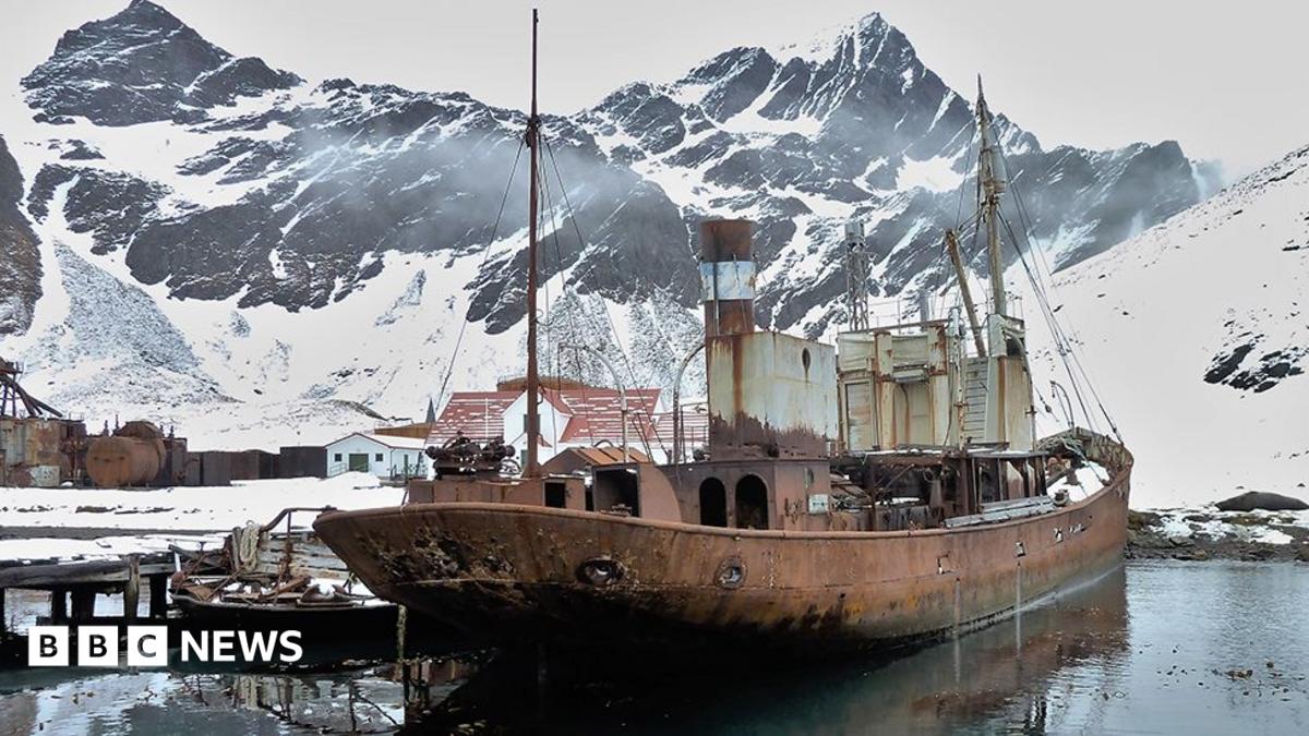Lost Yorkshire shipyard has bones around the world