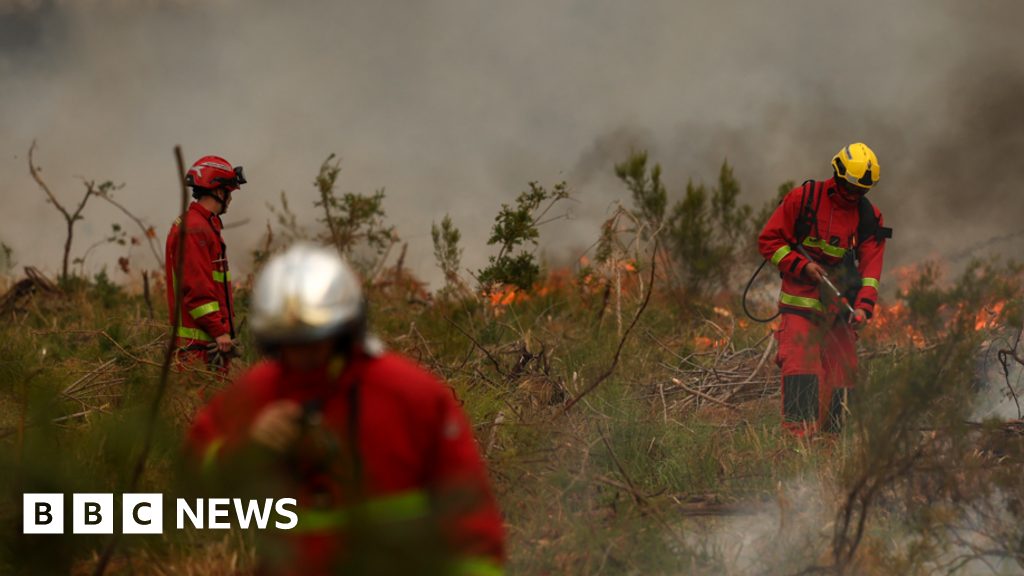 Firefighters battle wildfire as tens of thousands evacuated near Bordeaux
