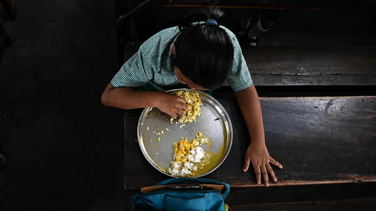 Food Politics in India: The Push for One Nation, One Diet