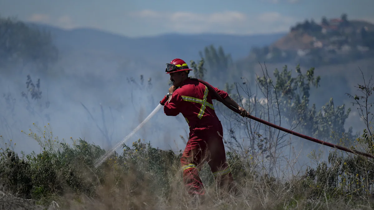 Root of Canada's wildfire emissions under trees