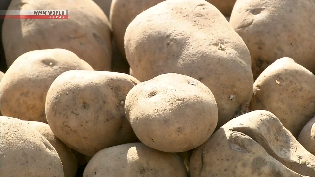 Japan examining lifting import curbs on fresh US potatoes