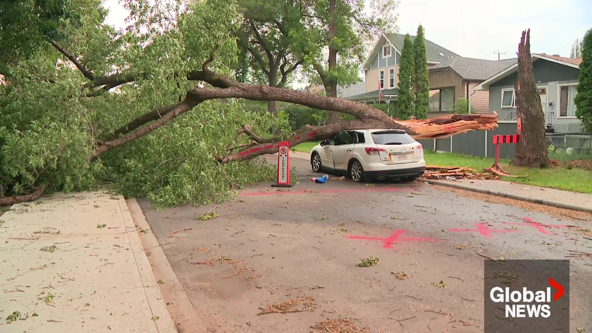 Cleanup still underway in Edmonton after intense Saturday storm