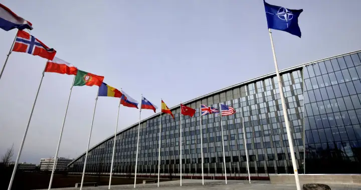 Minister vows probe of ‘quite serious’ charges against Canadian NATO intern