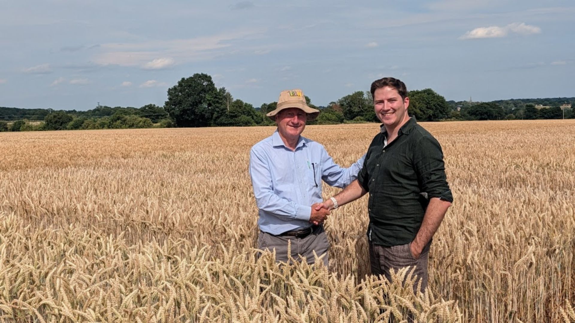 Wild Bio acquires F1 Seed to create Britain’s first independent precision-breeding wheat business