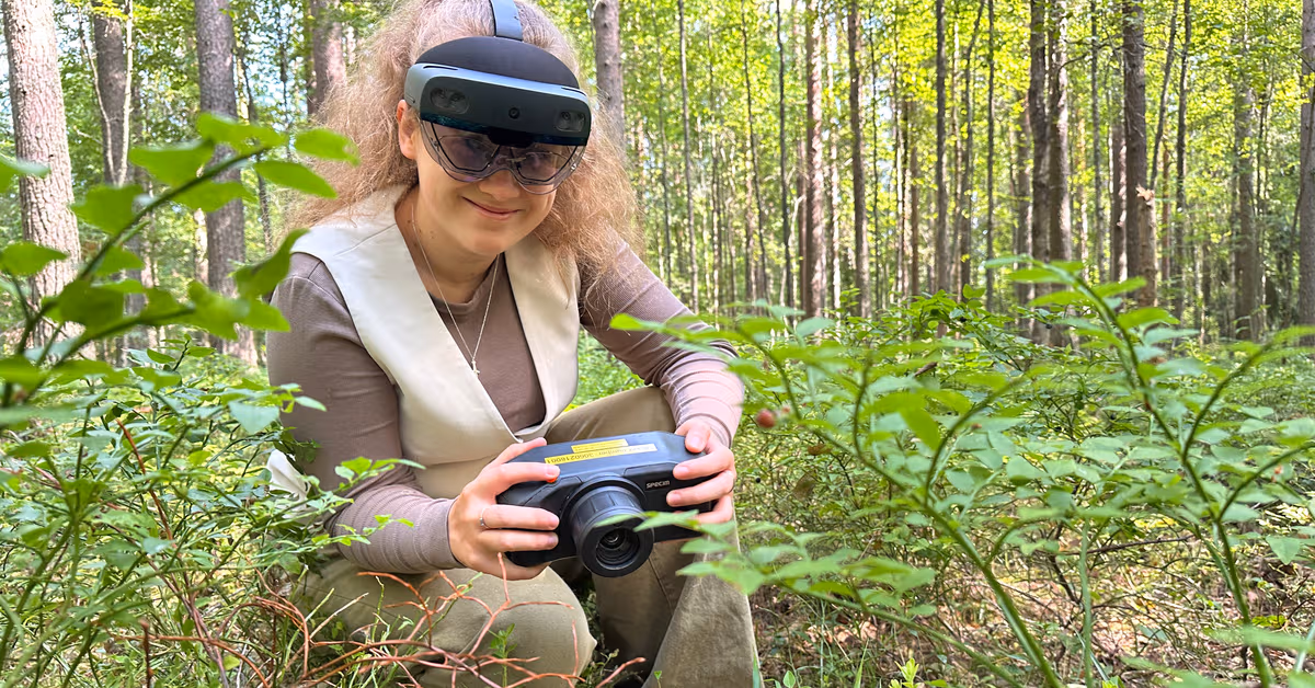 Researchers developing tech that can detect wild mushrooms