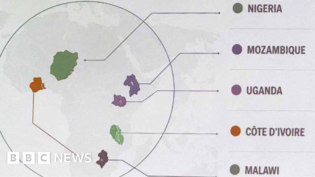 US admits 'unfortunate error' after mislabelling countries on map of Africa