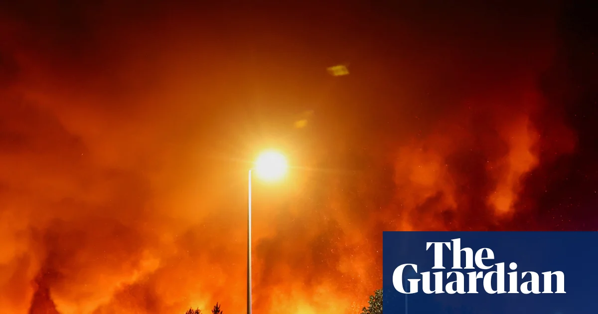 ‘We stared into an abyss’: the men and women battling to tame France’s megafire