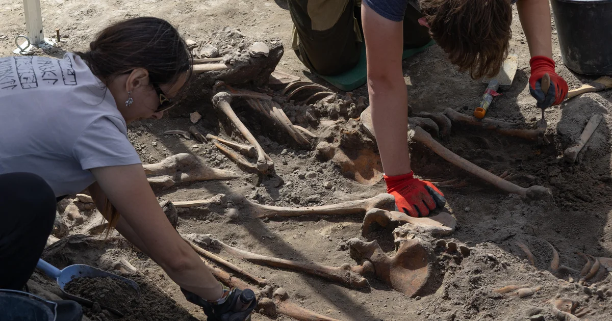 Human remains exhumed at site of controversial World War II massacres in Ukraine: "Each of them had their dreams"