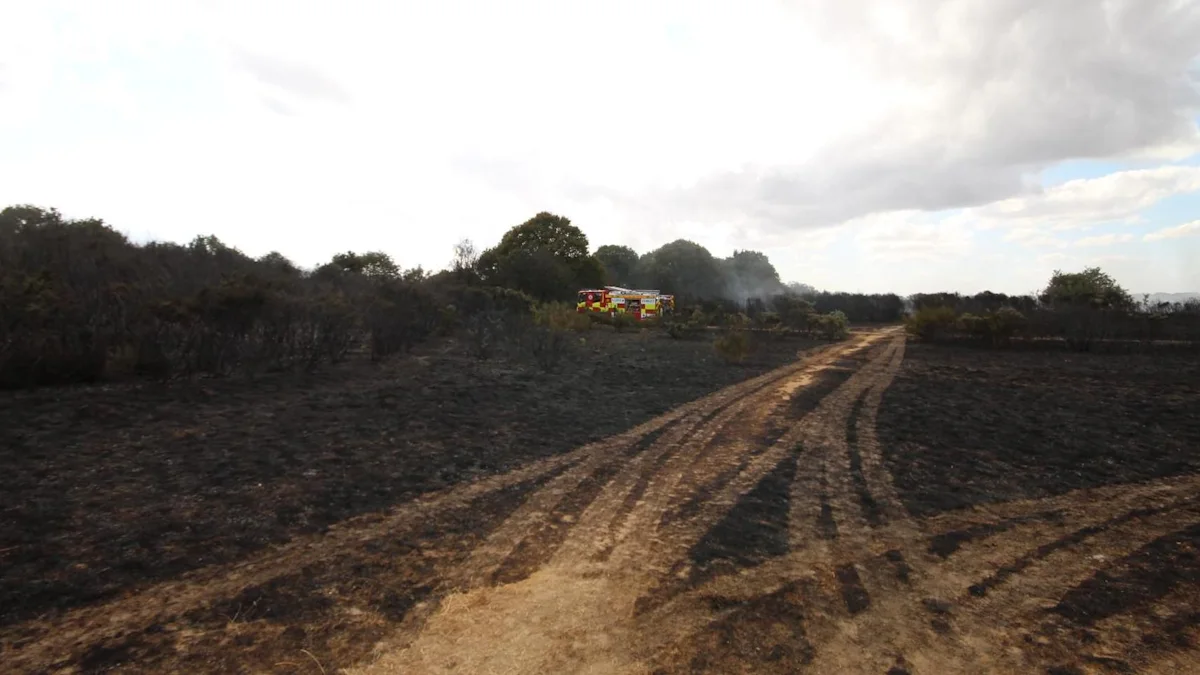 Concerns for beauty spot after wildfires break out