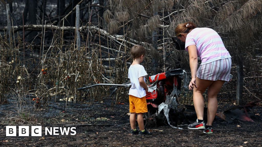 France wildfires reveal hundreds of WW2 shells in village