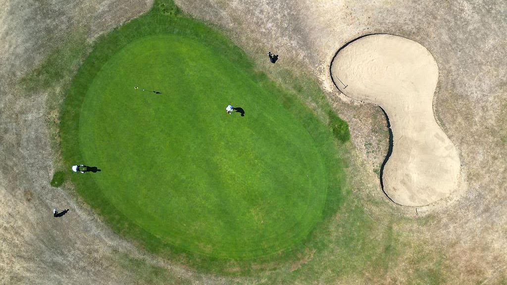 Why can golf courses stay green during droughts?