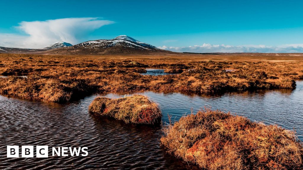 'Slow tourism' plan for Flow Country Unesco World Heritage Site