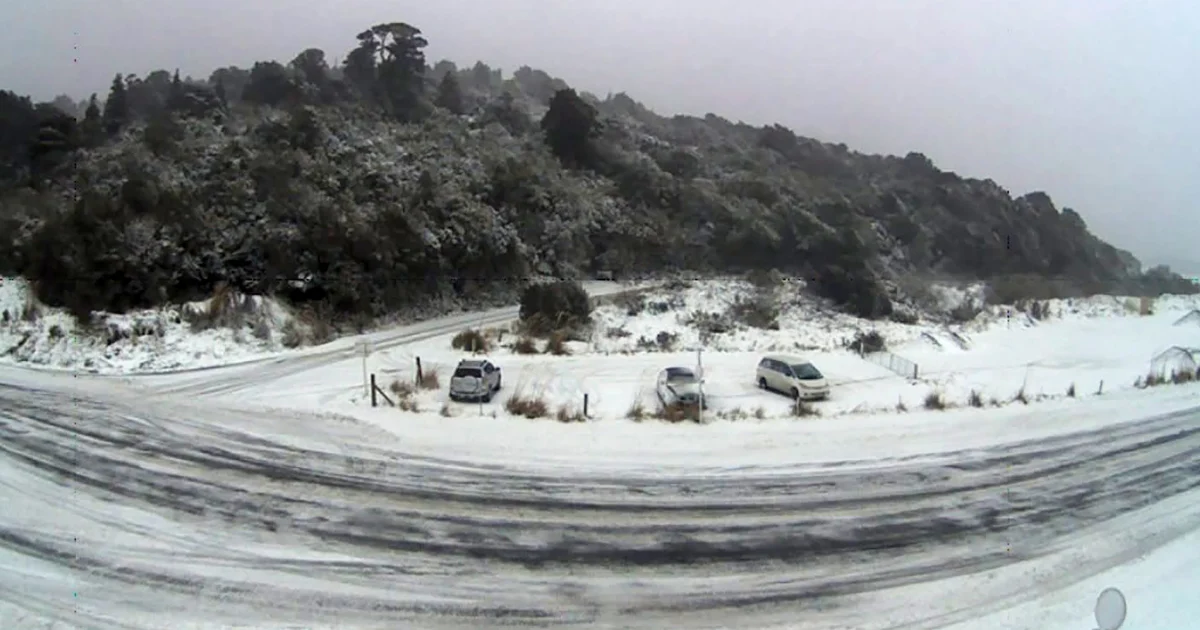 Rare snow blankets New Zealand cities, with skiers gliding down world’s steepest residential street