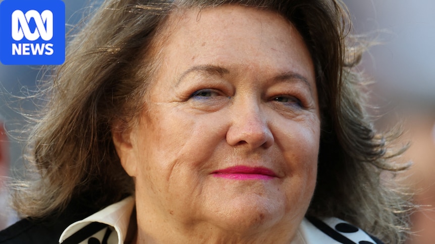 'Doesn't meet the pub test': ABC apologises to Rinehart over TV show reference