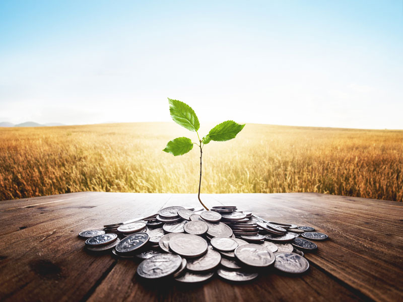 Canada’s private impact investing market is maturing