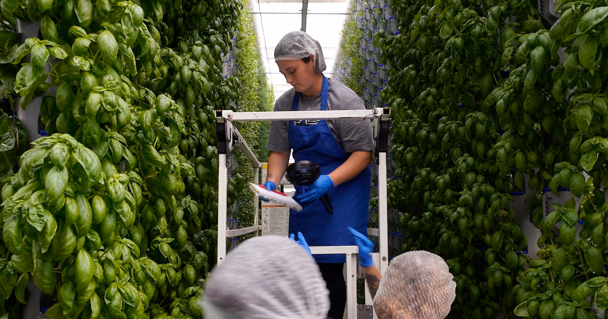 Vertical farming startup shuts down metro Atlanta operations