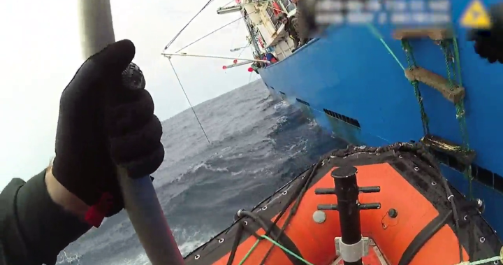 Possible illegal fishing operations, including shark finning, found during DFO patrols