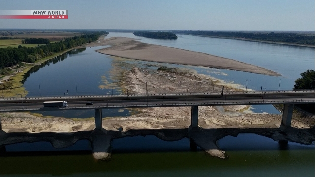 Mammoth remains exposed as drought saps Danube