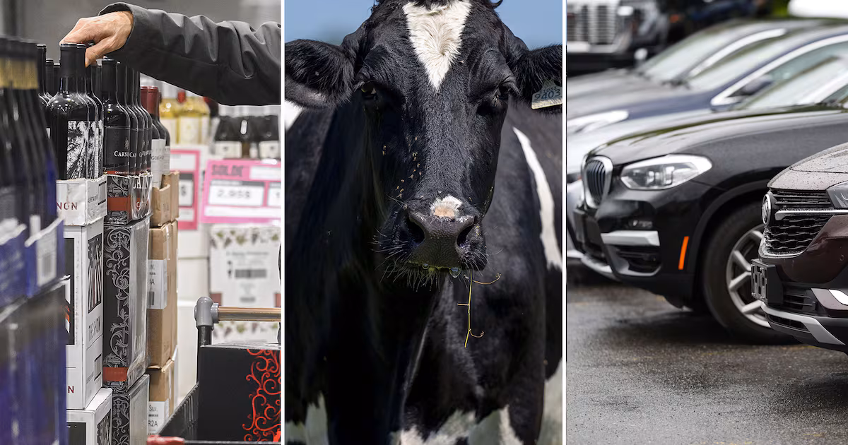 Alcohol, dairy and autos: What is and isn’t on the table in Canada