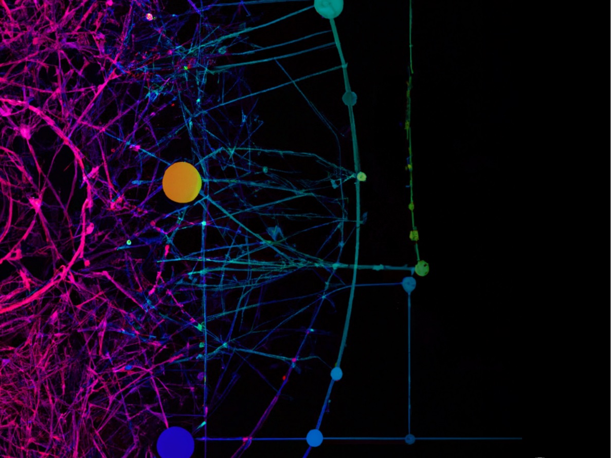 Artificial Intelligence for Nuclear Deterrence Strategy 2023