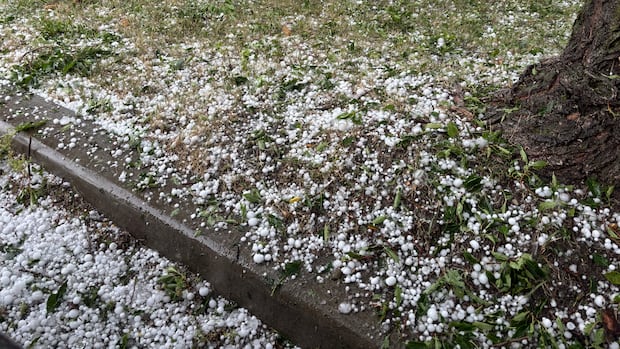Severe thunderstorm warning lifted for southern Alberta