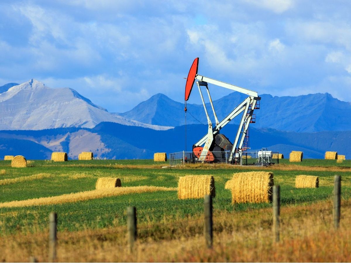 Opinion: Is Alberta the real 'Distinct Society'?