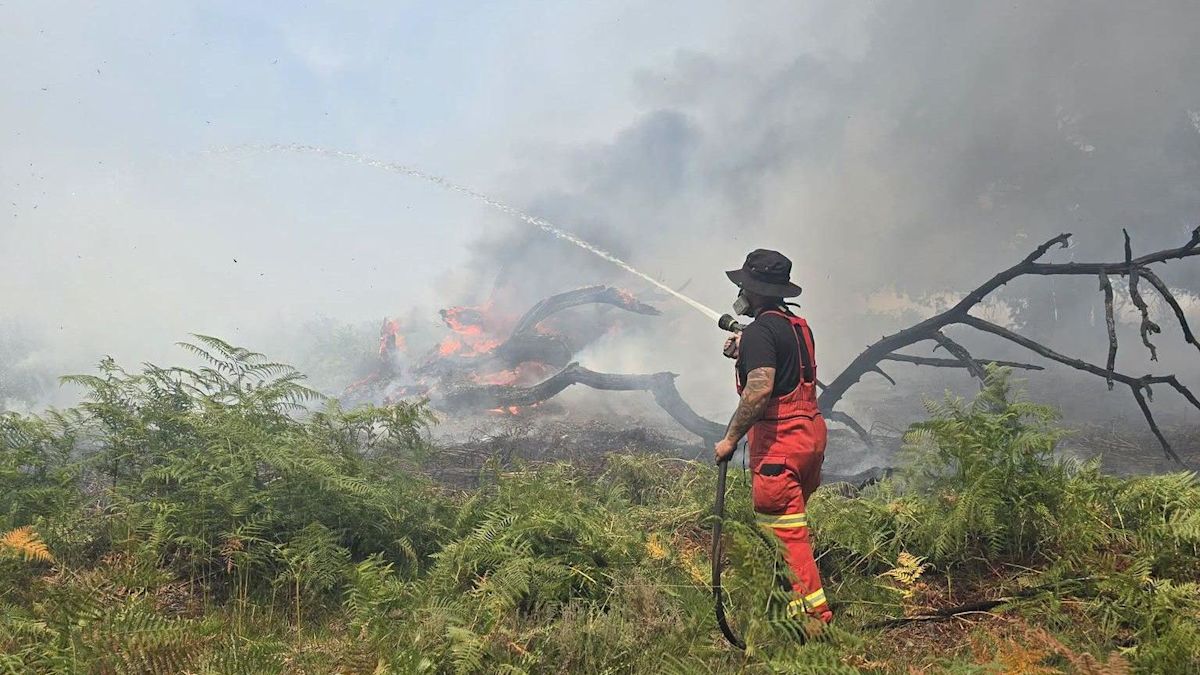 New Forest wildfire continues as temperatures rise