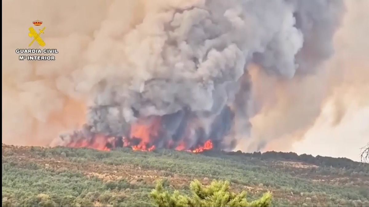 Wildfire forces authorities to remove relics from Spanish monastery