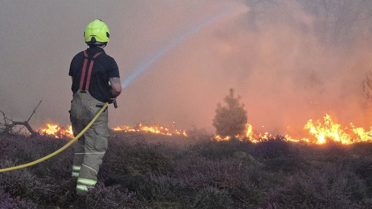 How we can all help prevent wildfires?