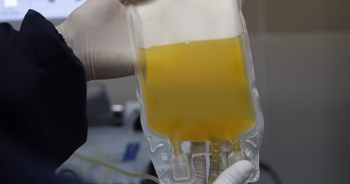 Private clinic pauses plasma collection months after two donors die