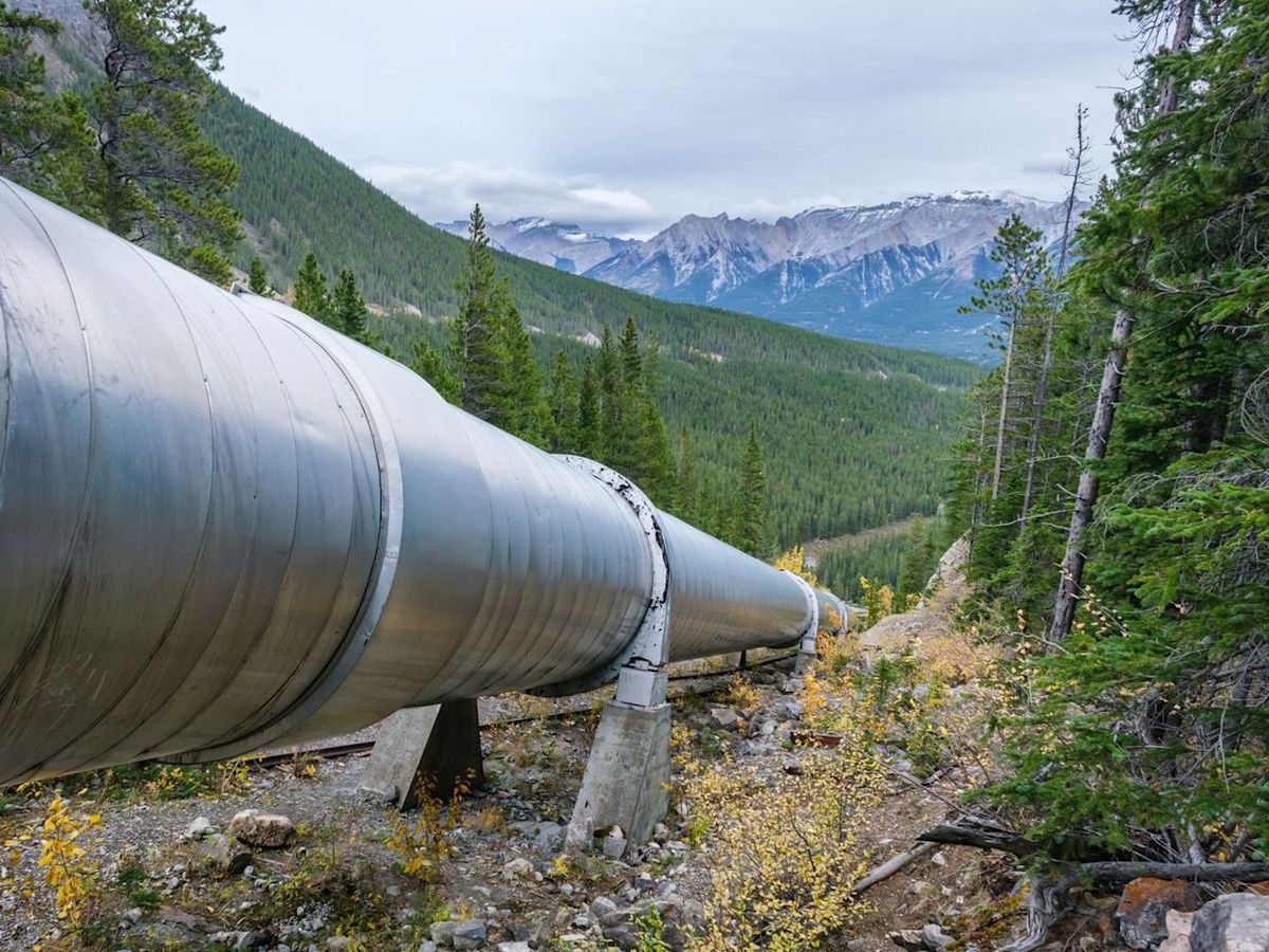 Canada can build major projects faster without sacrificing nature protections