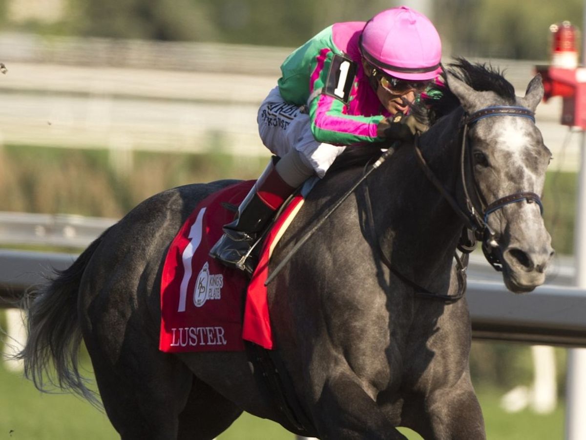 Dazzling display sees Luster shine at King's Plate