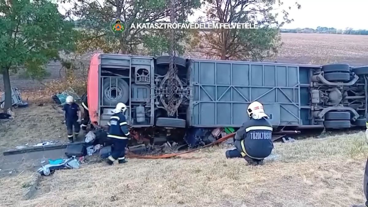 Bus crash in Hungary kills 12 people