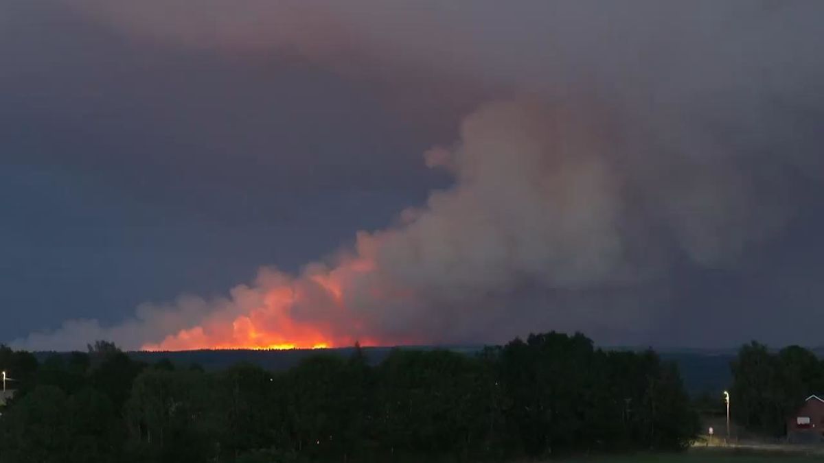 Firefighters battle massive Belgian wildfire, forcing hundreds to evacuate