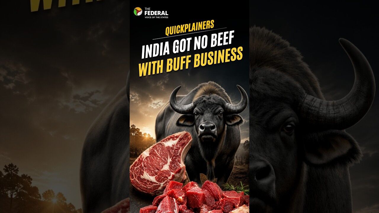 India’s $5 billion Beef Industry Booms Amidst BJP’s Cow Politics
